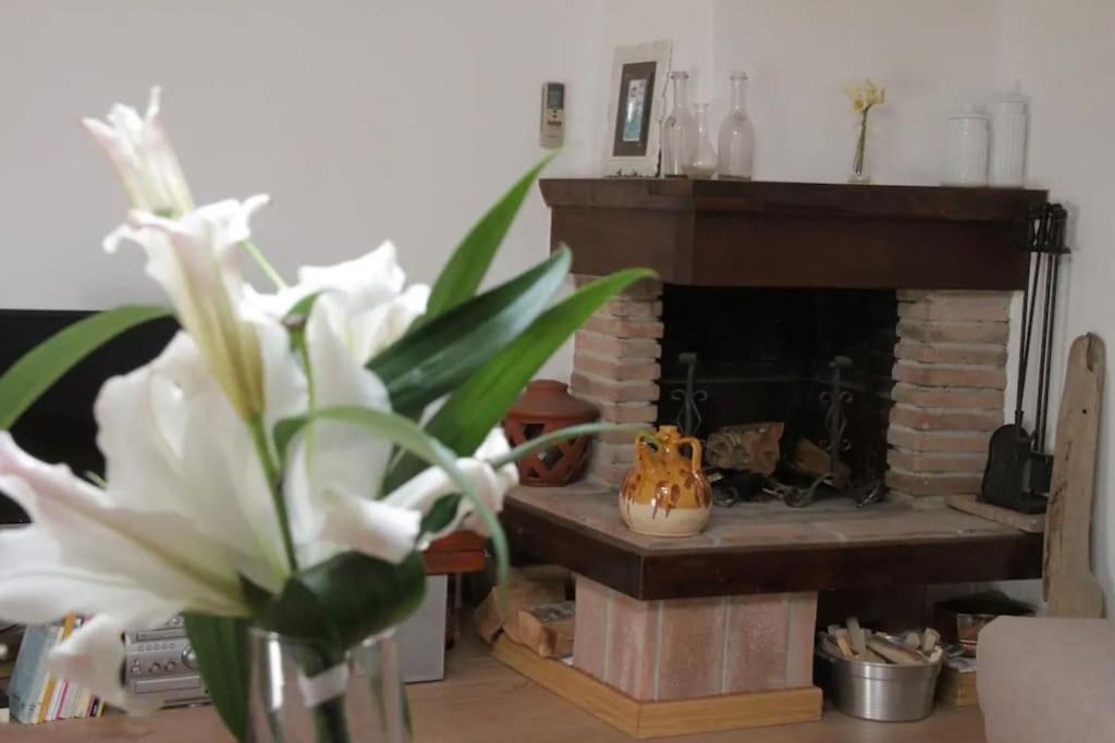 Mansarda Nel Cuore Di Livourne Extérieur photo